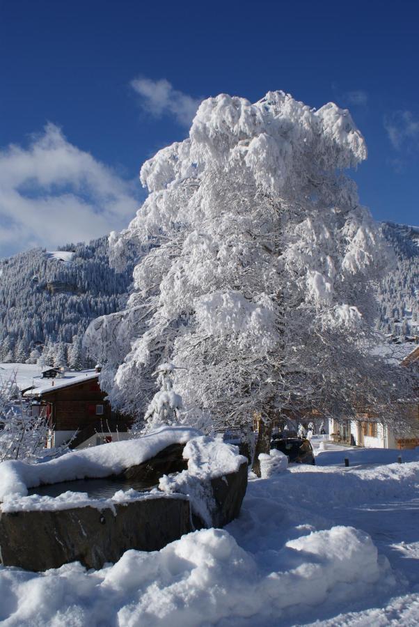 Ferien- Und Familienhotel Alpina Adelboden Eksteriør bilde